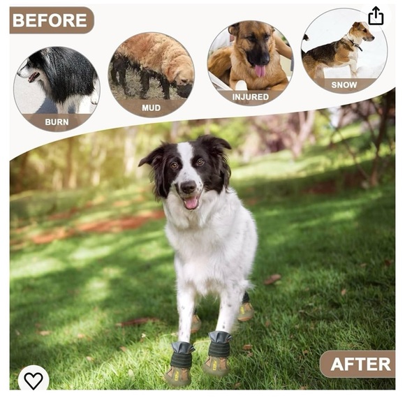 Size 6 Dog Shoes!! - Picture 5 of 12